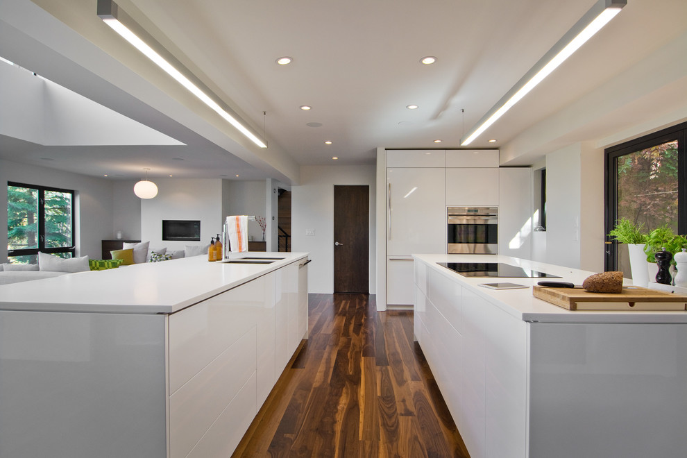 dark-walnut-floors-Kitchen-Modern-with-cooktop-fluorescent-lighting-natural